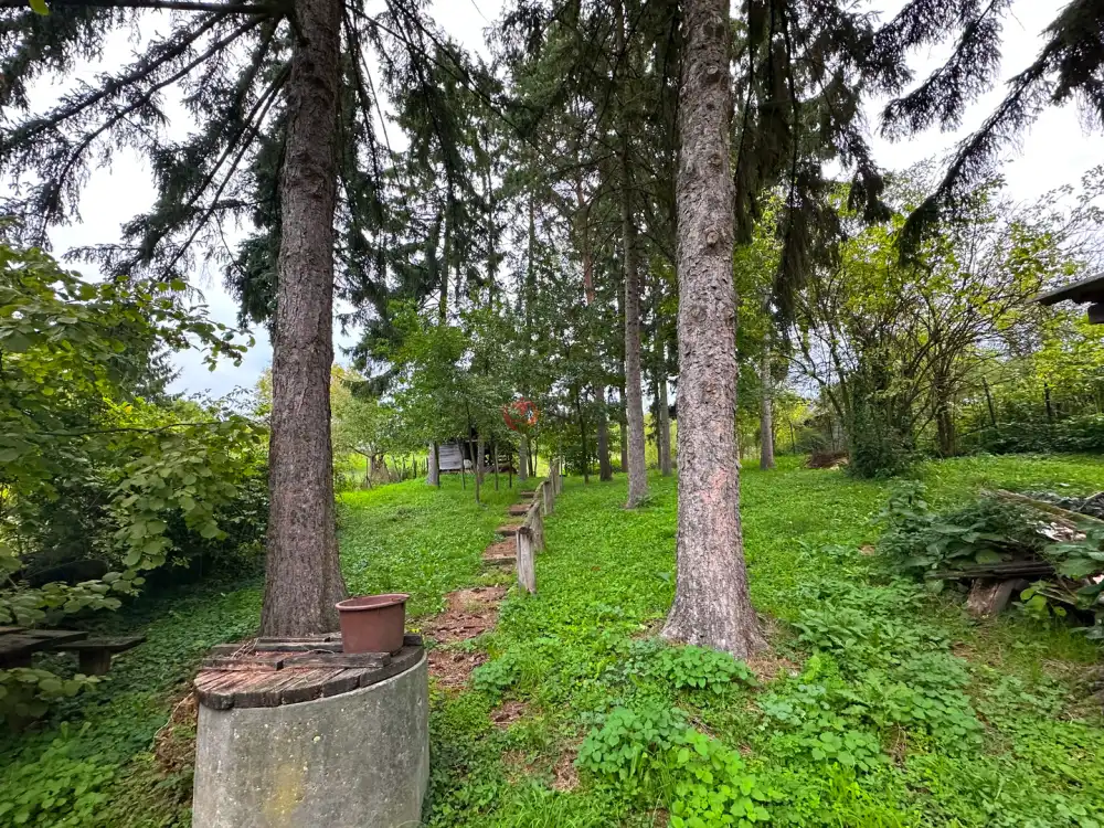 Nógrád megye - Nógrád