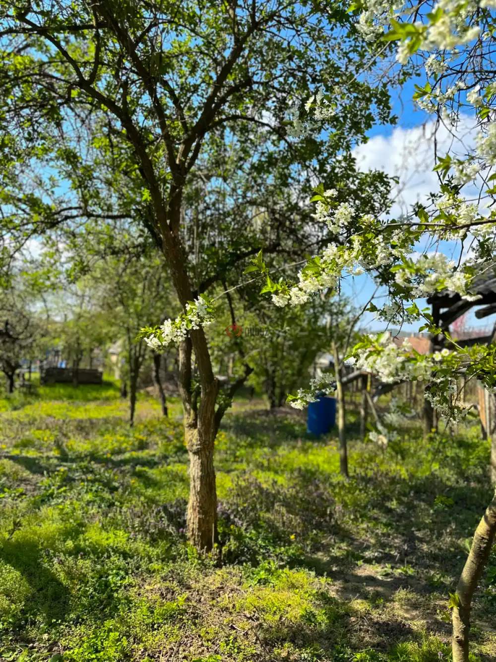 Nógrád megye - Nógrád