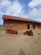 Pest megye - Szada