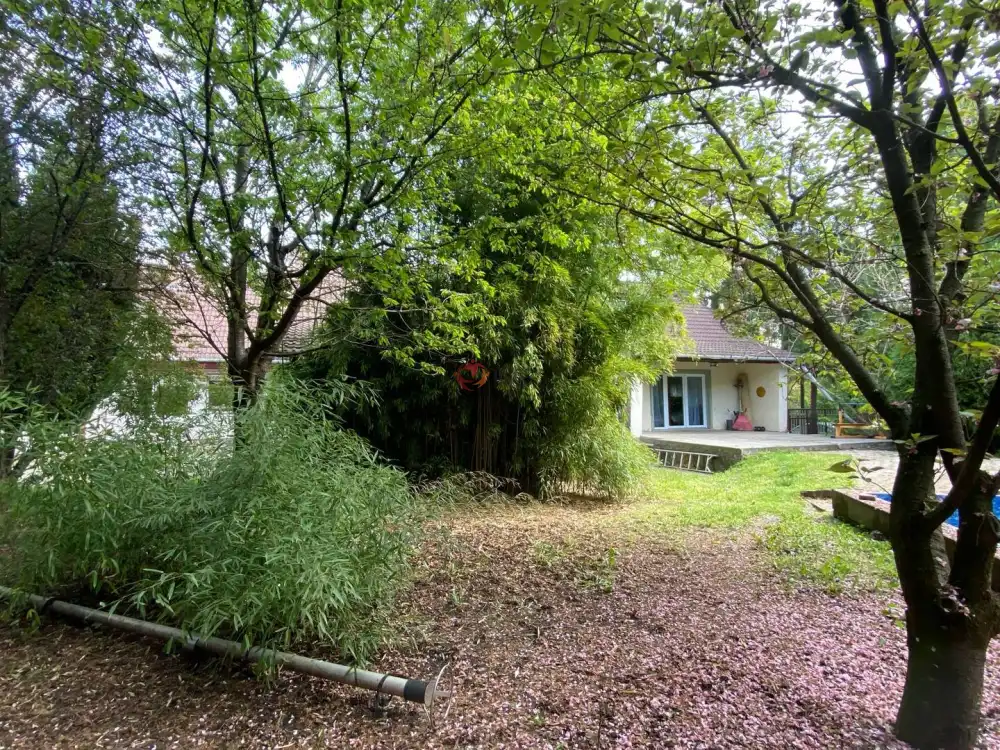 Pest megye - Szentendre