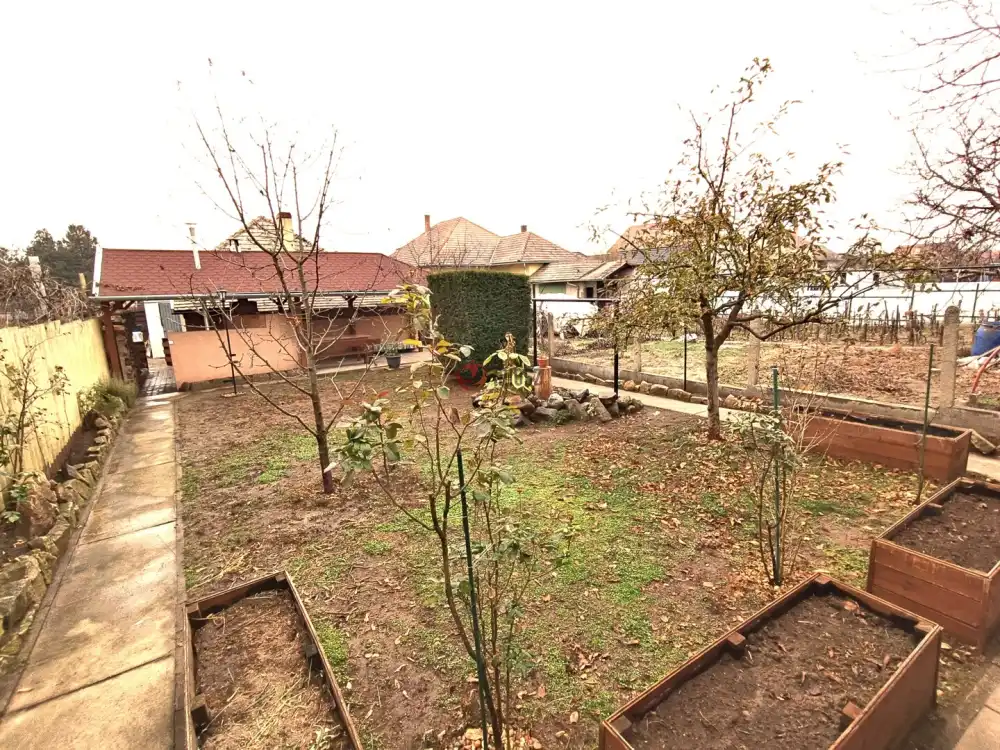 Pest megye - Sződ
