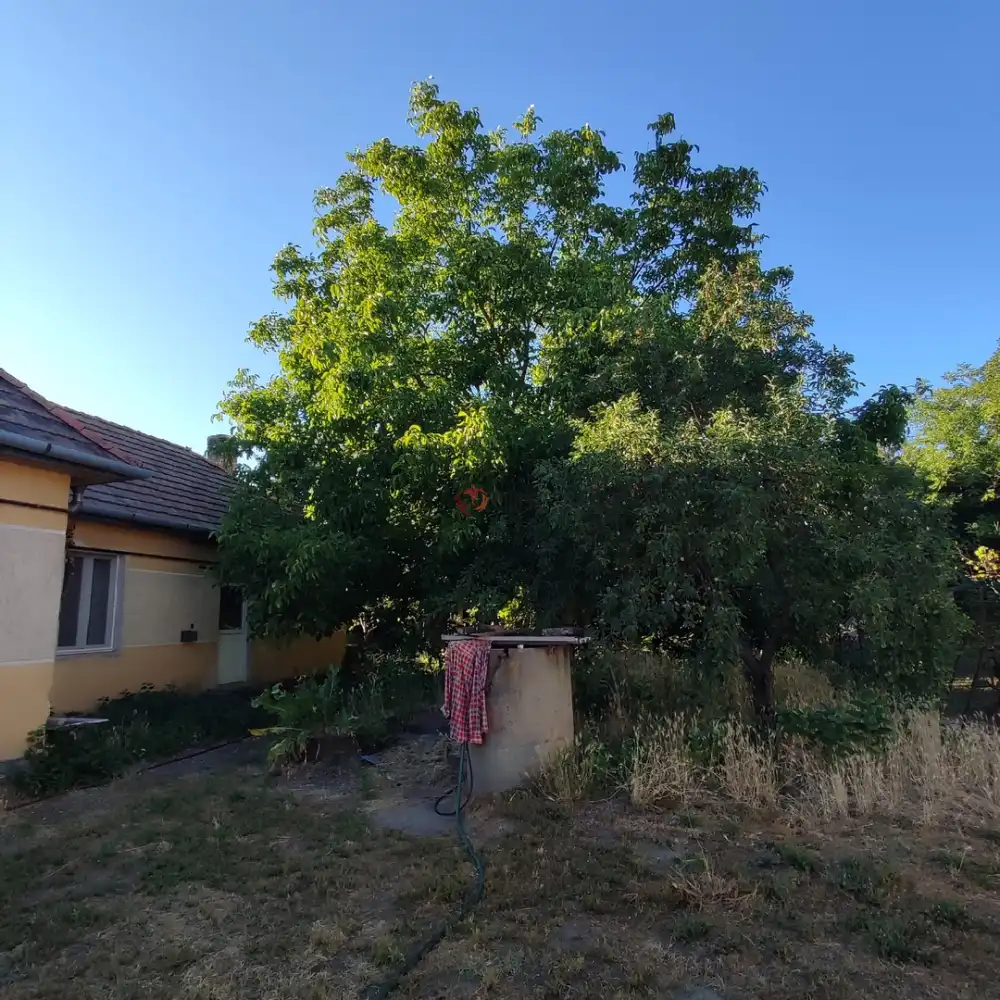 Pest megye - Sződliget