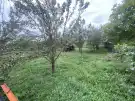 Pest megye - Szokolya