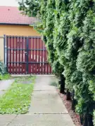 Pest megye - Vác