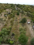 Pest megye - Vác