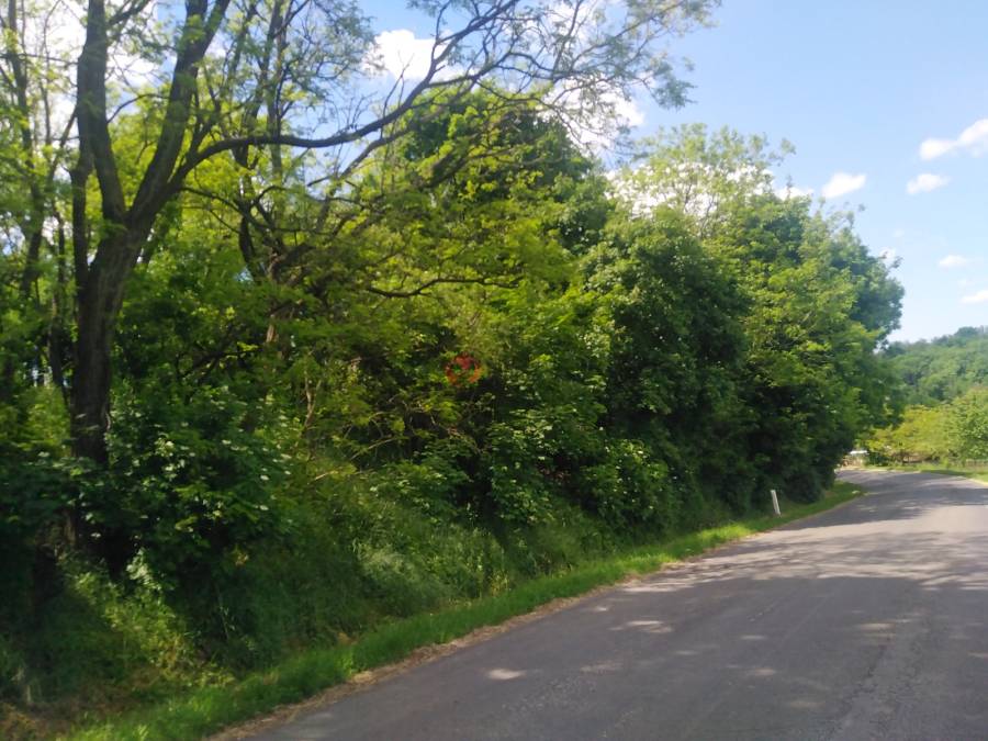eladó  Építési telek, Erdőkürt