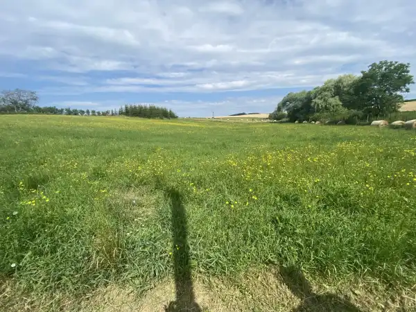 Eladó Építési telek, Nézsa 10511 m² 23 M Ft