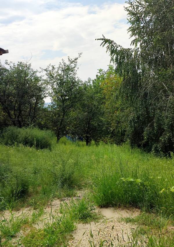 eladó  Építési telek, Őrbottyán