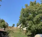 Pest megye - Szokolya