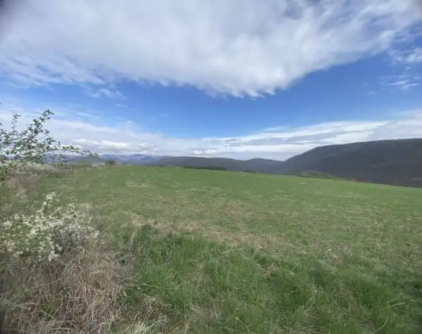 Eladó Építési telek, Szokolya 5277 m² 59.9 M Ft