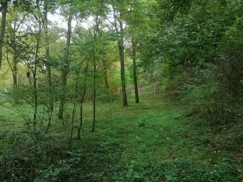 Pest megye - Vácduka