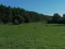 Pest megye - Vácduka