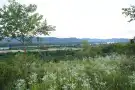 Pest megye - Verőce