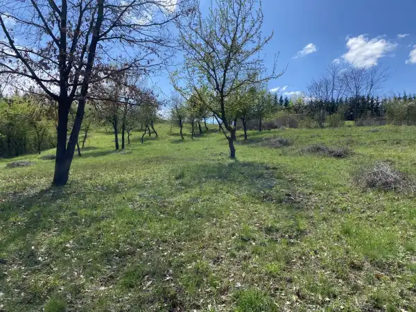 Eladó Építési telek, Verőce 9937 m² 99 M Ft