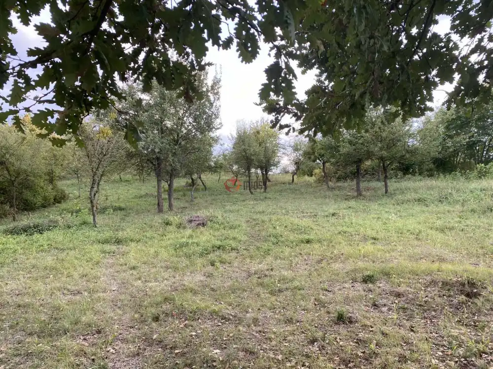 Pest megye - Verőce