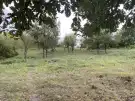 Pest megye - Verőce