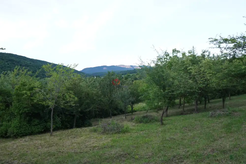 Pest megye - Verőce