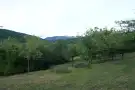 Pest megye - Verőce