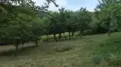 Pest megye - Verőce