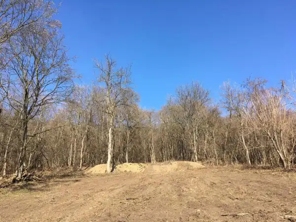 Eladó Építési telek, Verőce 3000 m² 45 M Ft