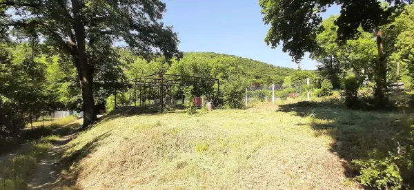 Eladó Erdő, Nagymaros 840 m² 12.9 M Ft