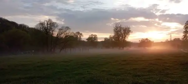 Eladó Gyep, Vácduka 90000 m² 159.9 M Ft