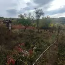 Pest megye - Vác