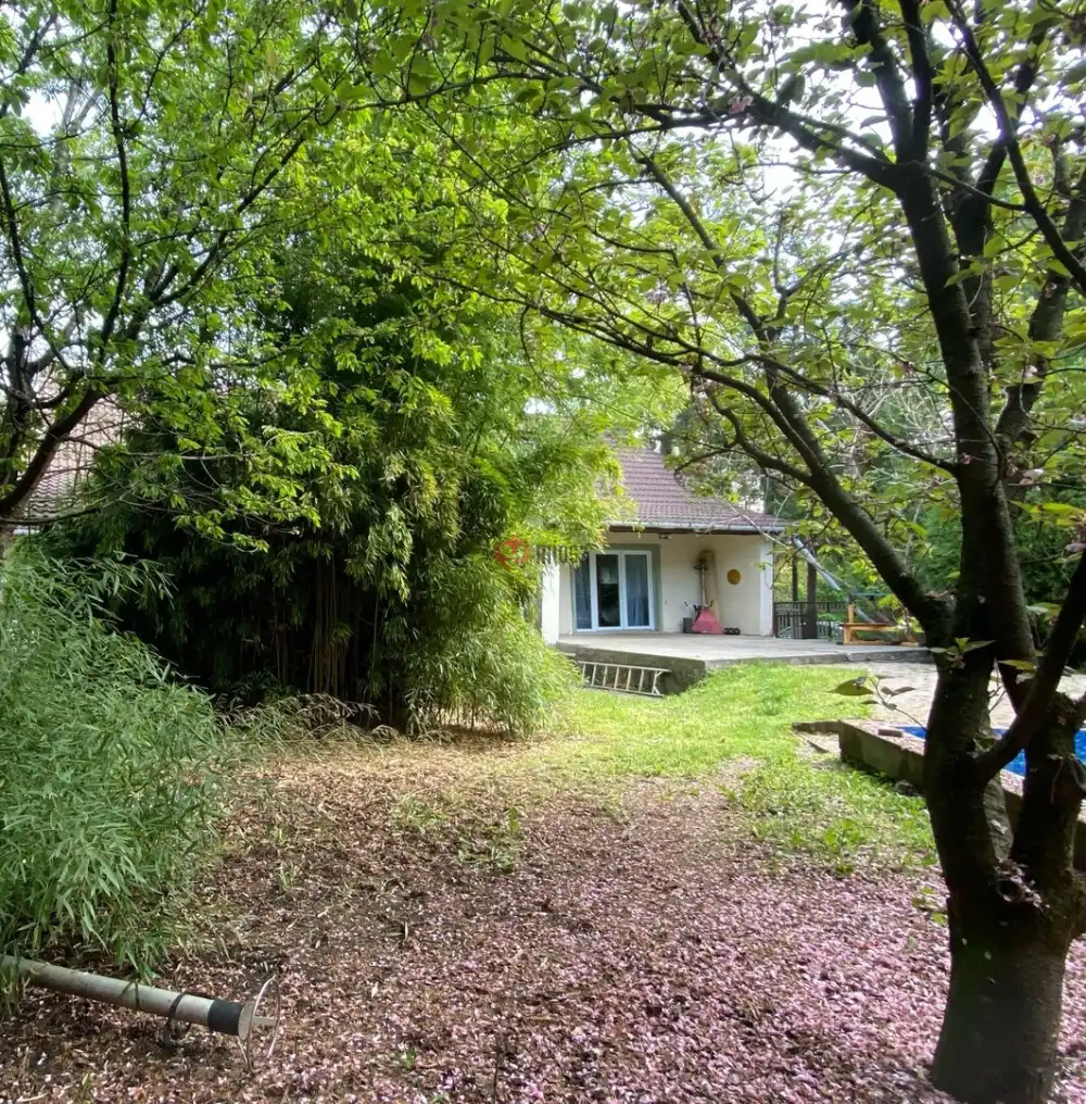 Pest megye - Szentendre