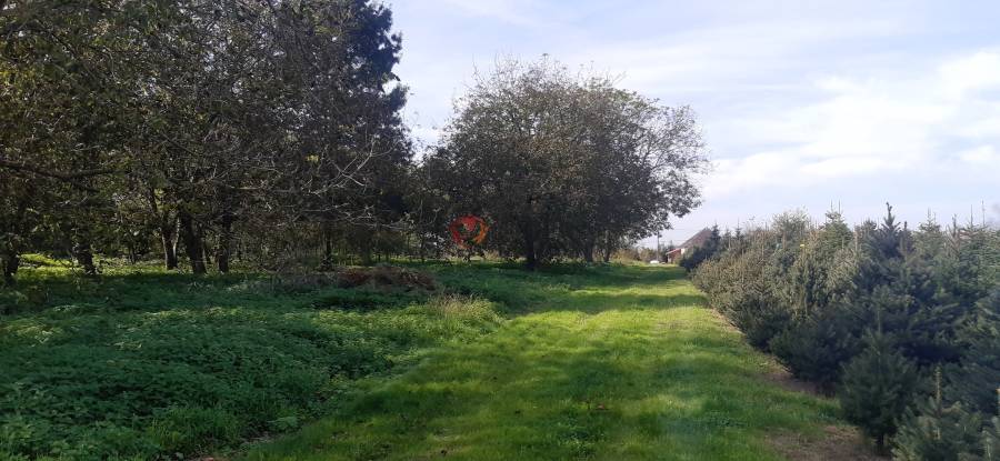 eladó  Ipari és kereskedelmi telek, Csurgó