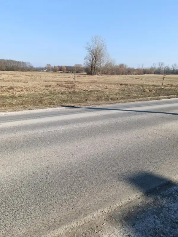 Eladó Legelő, Vácrátót 10000 m² 20 M Ft