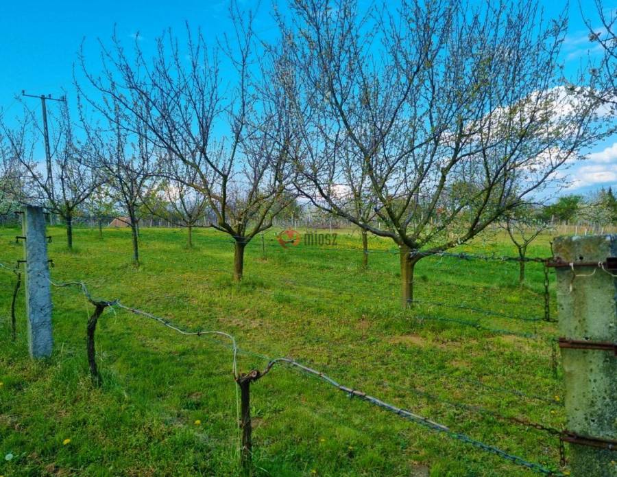 eladó nyaraló, Marcali