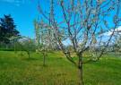 Somogy megye - Marcali