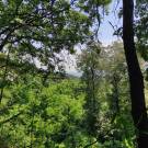 Pest megye - Verőce