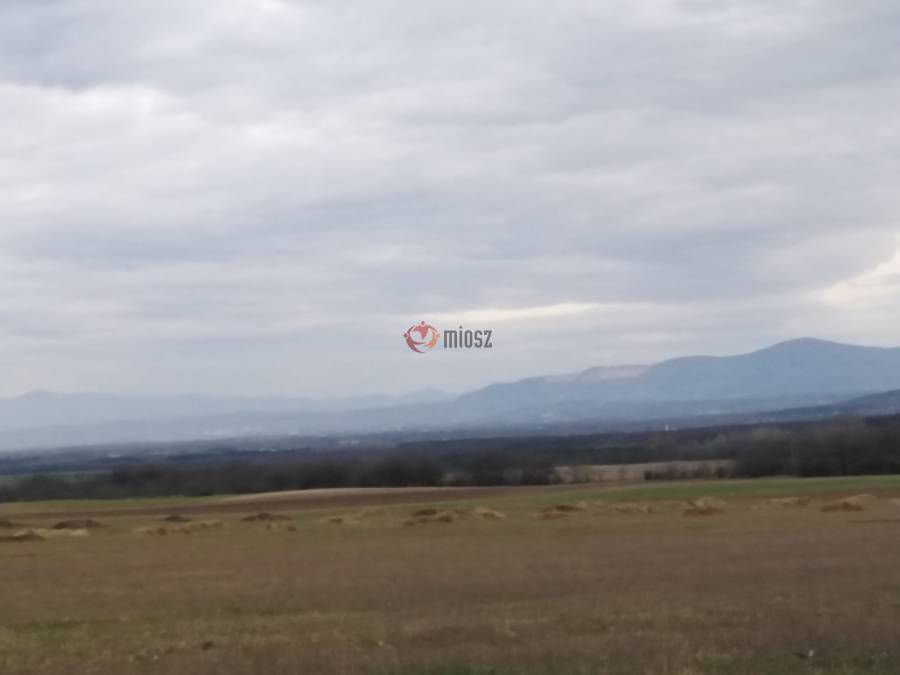 eladó  Szántó, Csomád