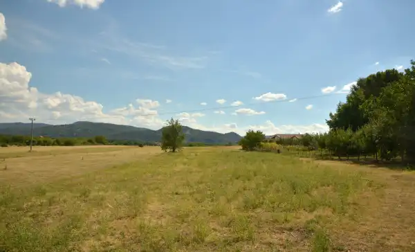 Eladó Szántó, Kismaros 9059 m² 99 M Ft