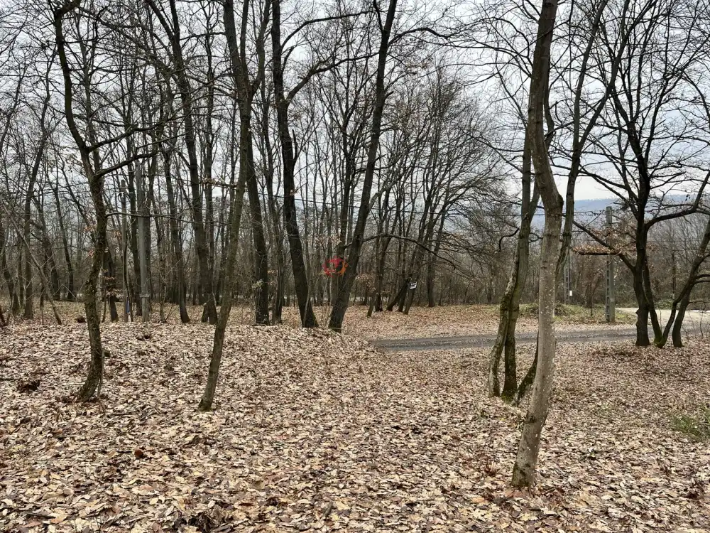 Pest megye - Verőce