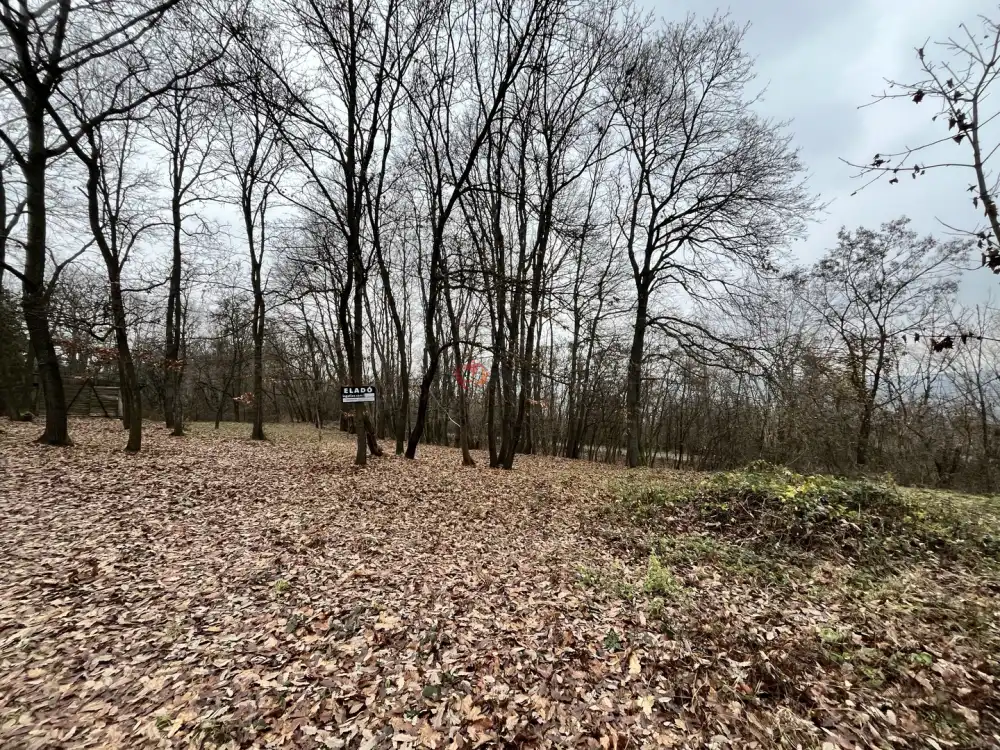 Pest megye - Verőce