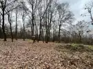 Pest megye - Verőce